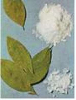 Cocaine Turns Up In Yoghurt Shipment